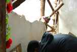Durban, Violent attacks on the Abahlali baseMjondolo:  evictions and deaths 30-09-2009